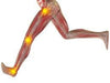 Illustration of body running