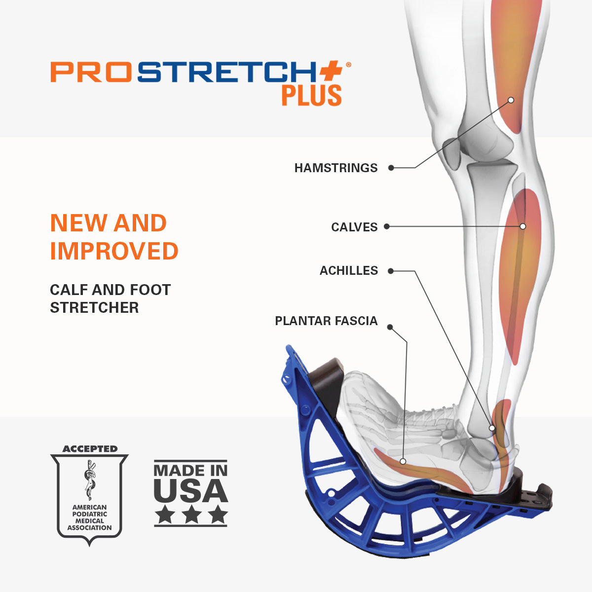 Mucles You can stretch with ProStretch Plus