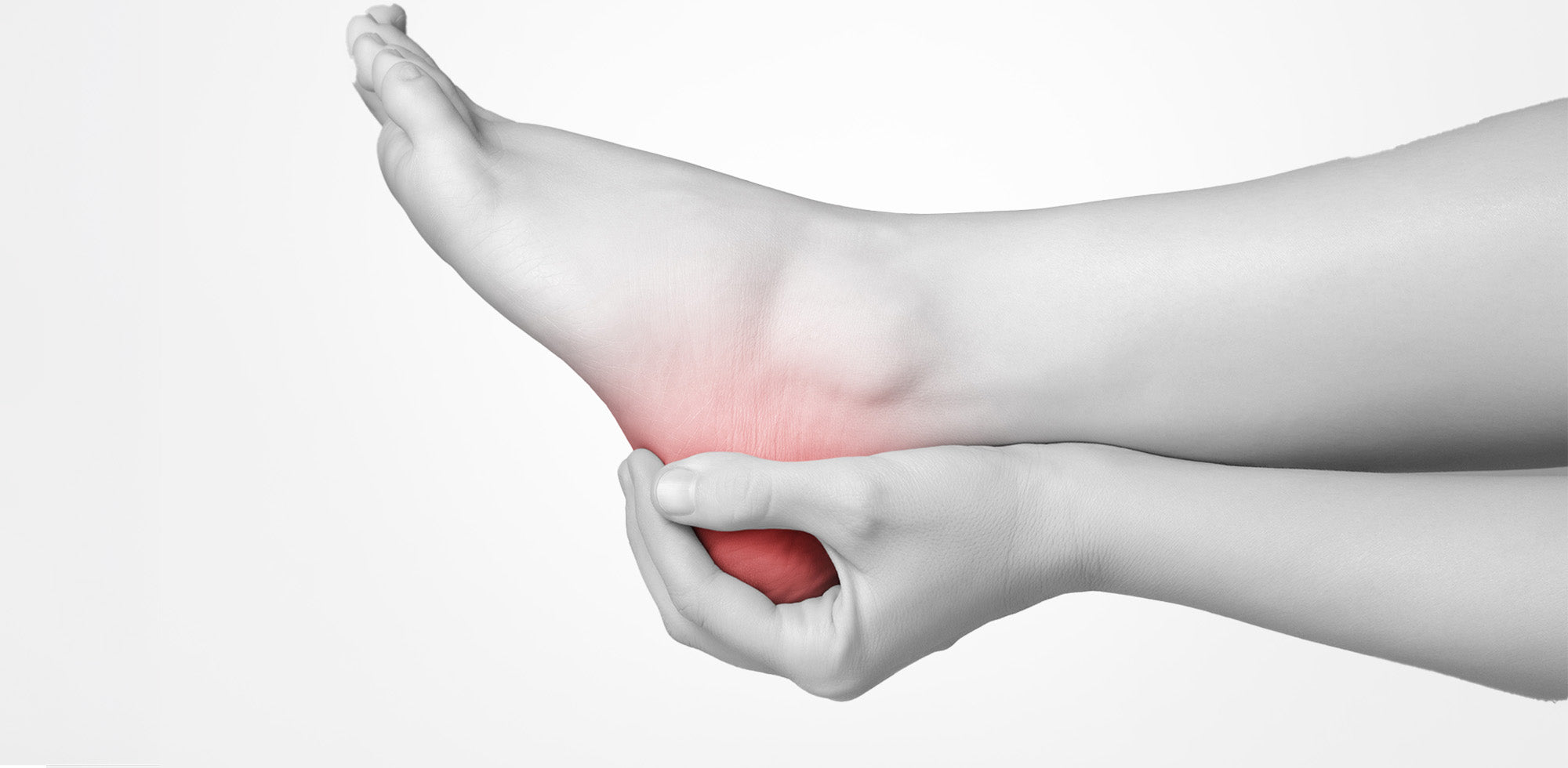 Person holding the heel with highlighted area indicating heel pain.