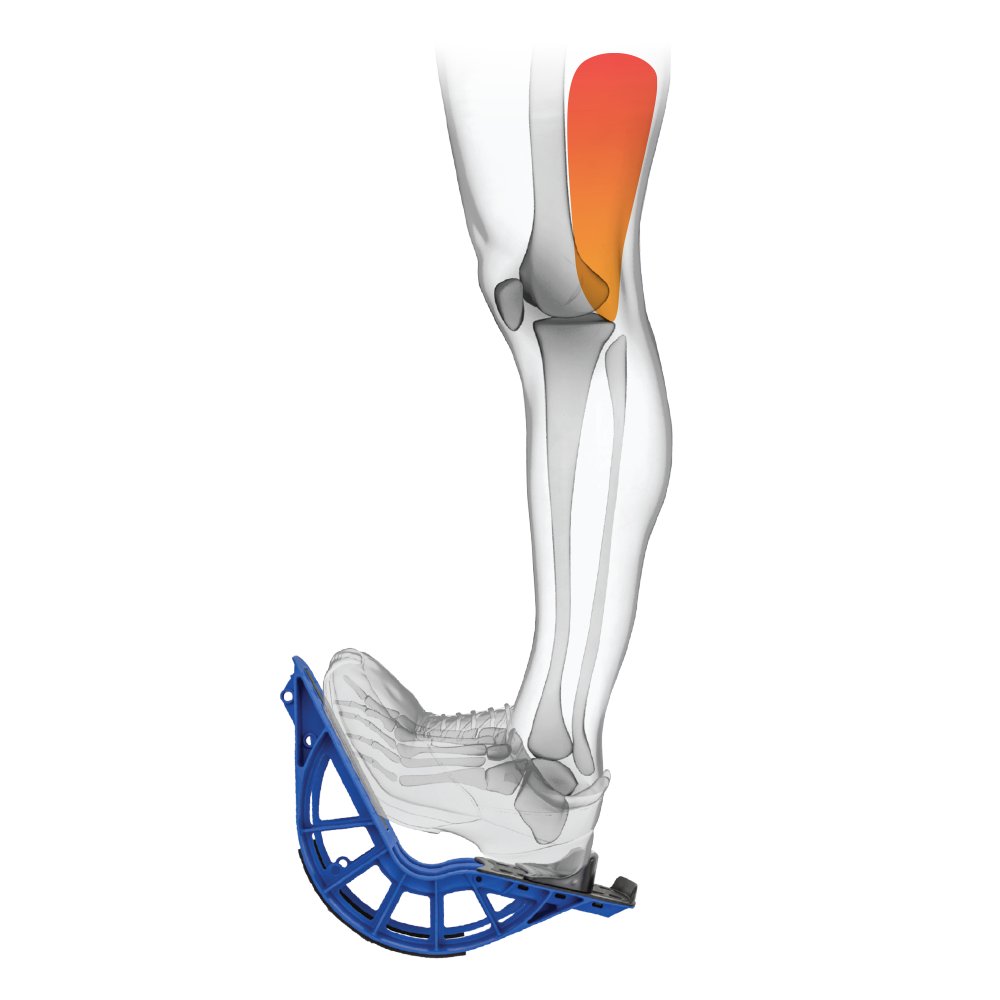 Illustration of prostretch plus hamstring stretch