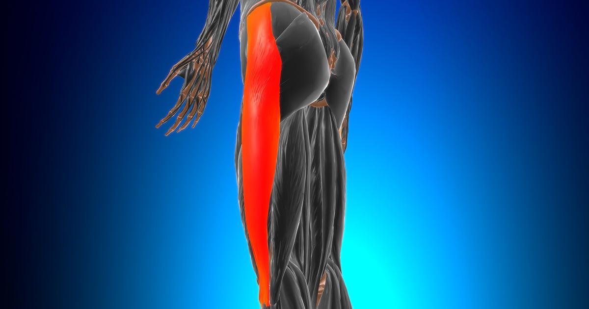 3D anatomy of the Iliotibial tract or band