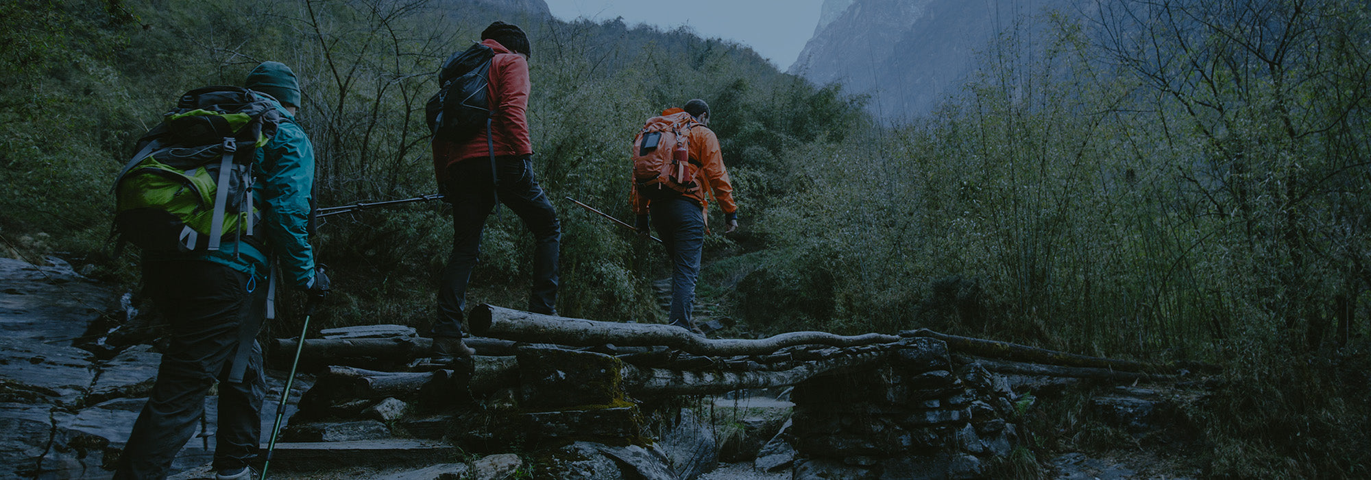 Three hikers in the forest 