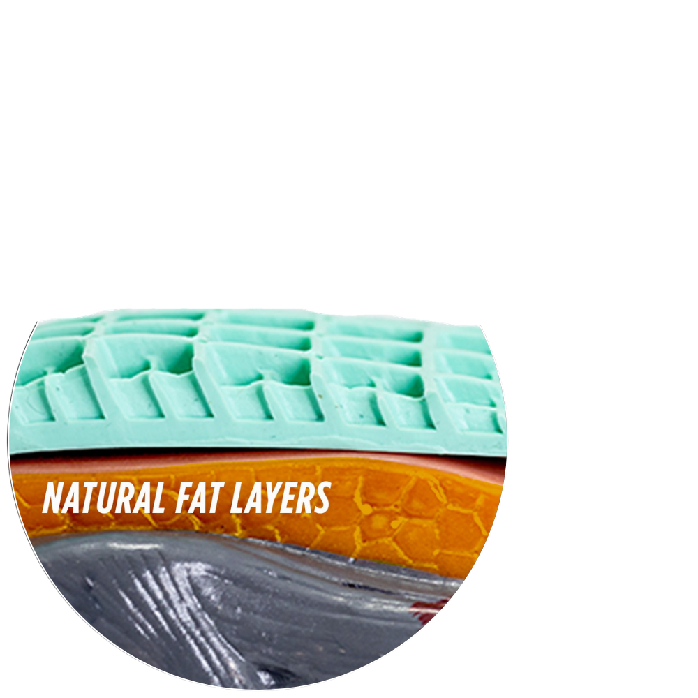 Illustration showing natural heel fat layers and how Tuli's Heavy Duty heel cup helps cushion the heel.