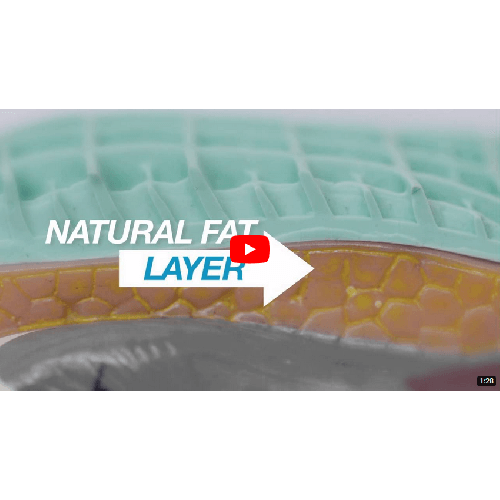 <iframe width="560" height="315" src="https://www.youtube.com/embed/KFHpznWpZyQ?rel=0&amp;controls=0&amp;showinfo=0" frameborder="0" allow="autoplay; encrypted-media" allowfullscreen></iframe>